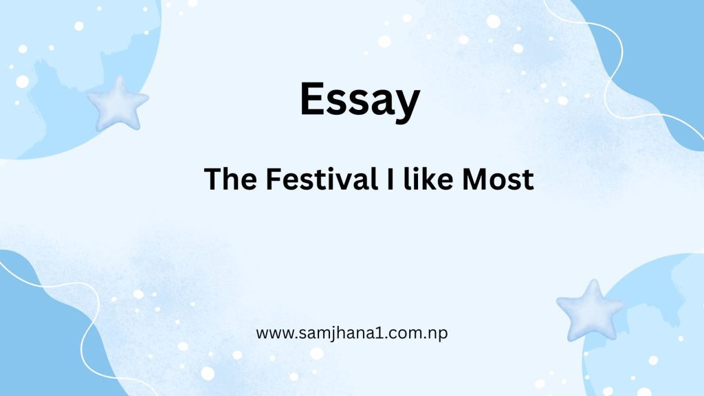 Essay on The Festival I like Most